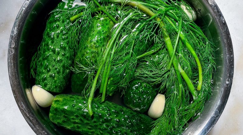 Lightly Salted Pickled Cucumbers