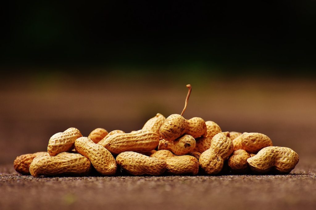 Peanut Oil