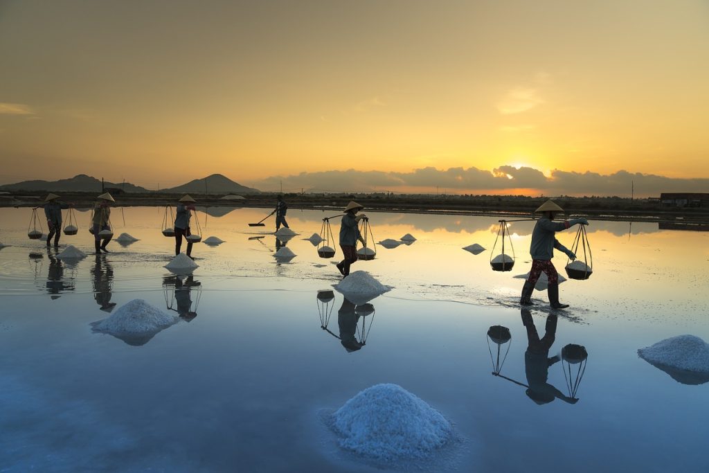 Sea Salt