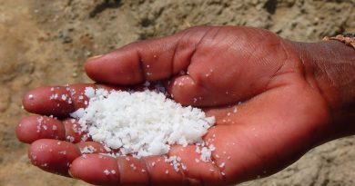 Fleur de Sel