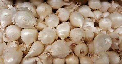 Pearl Onions