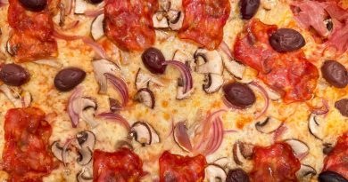 Spicy Salami and Veggie Pizza