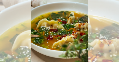 Gyoza Dumpling Soup